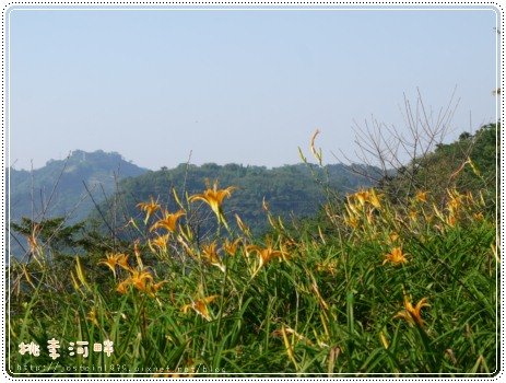 P1220479