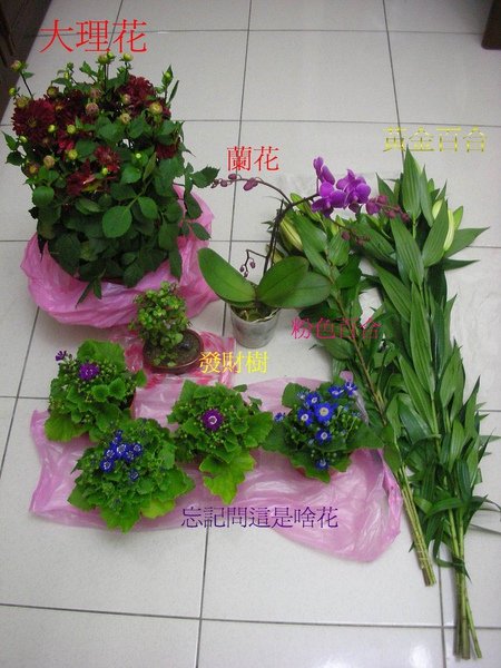 虎年-花.JPG