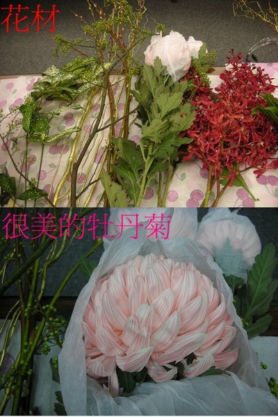 新年花-花材.jpg