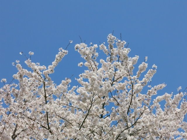 09.jpg