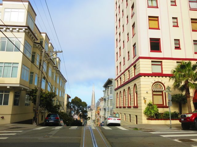 113.jpg