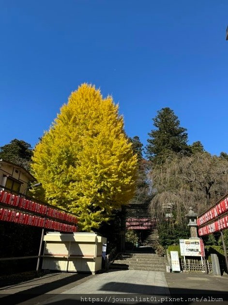 東北快閃之旅~前進仙台探訪羽生結弦聖地:大崎八幡宮、國際中心