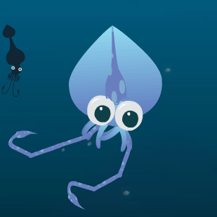 squid2