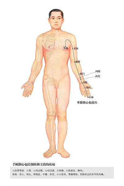 Jx-12-xinbao