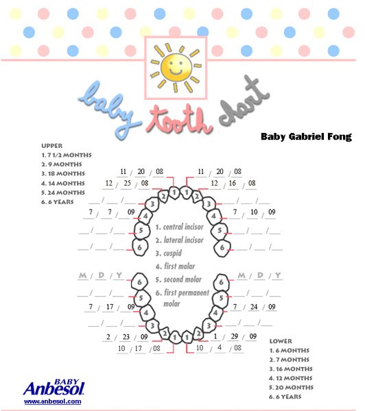 Tooth Chart.jpg