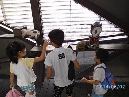 貓村到囉!!!一點都不怕人..