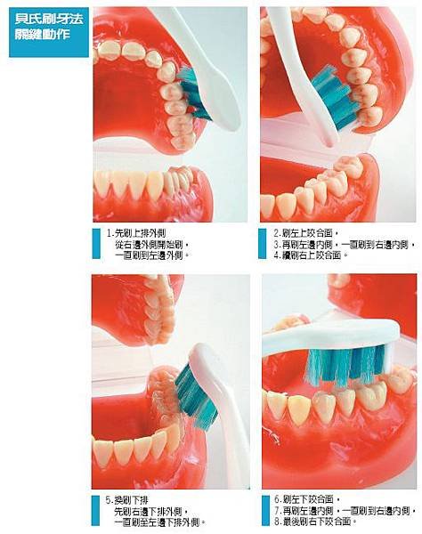 貝氏刷牙法！