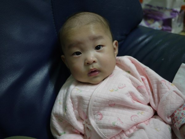 P1120384.jpg