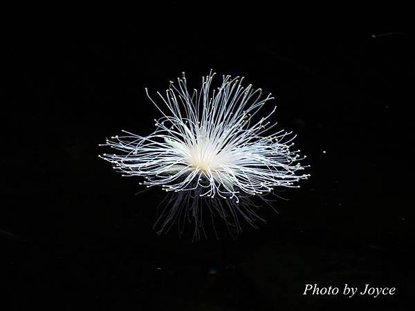 IMG_0064.jpg