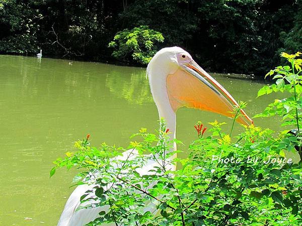 IMG_0077.jpg