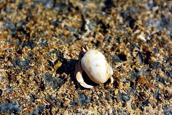 DSC_0416.jpg