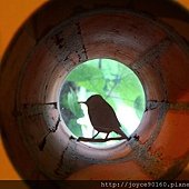 IMG_4782