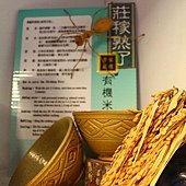 IMG_5324
