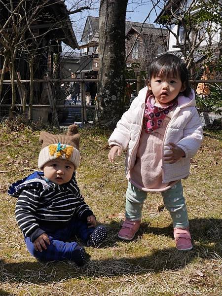 ▉2017九州親子自駕▉由布院-熊本阿蘇市-熊本赤牛-阿蘇神