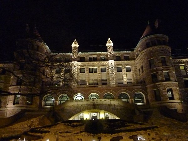 P1060881.JPG