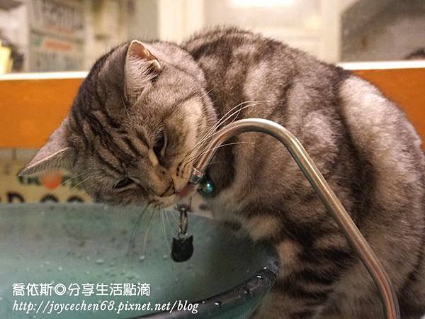 DSC05175.JPG