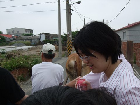 西瓜節04.jpg