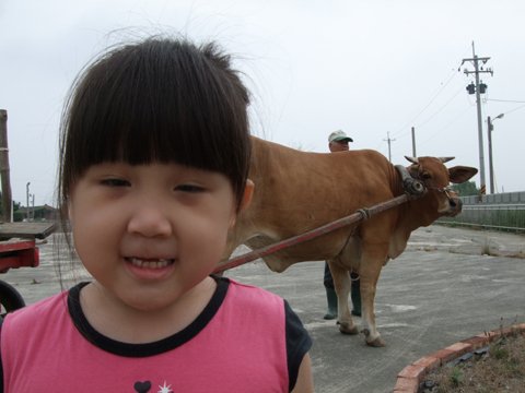 西瓜節03.jpg