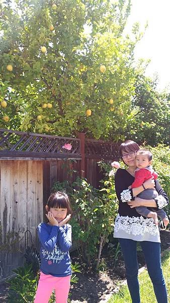 P_20180608_114020.jpg