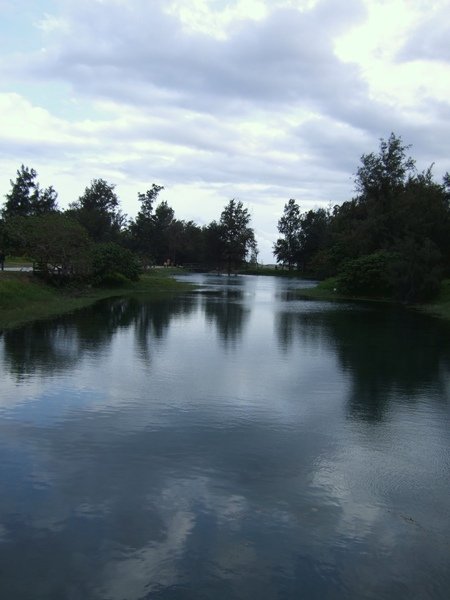 台東公園裡的琵琶湖.JPG