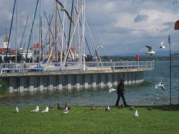IMG_5000.JPG