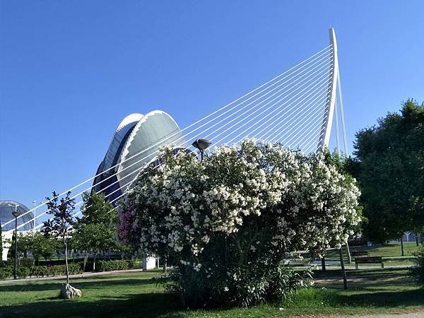 IMG20170618185327.jpg