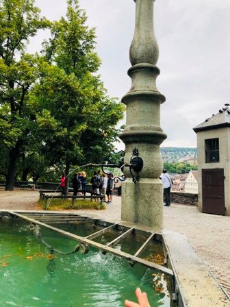 20180705 (32).JPG
