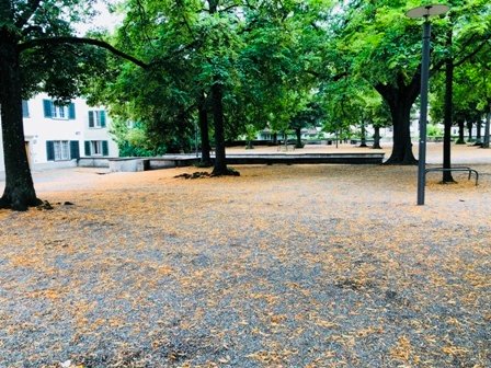 20180705 (35).JPG
