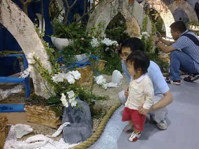 20101016098.jpg