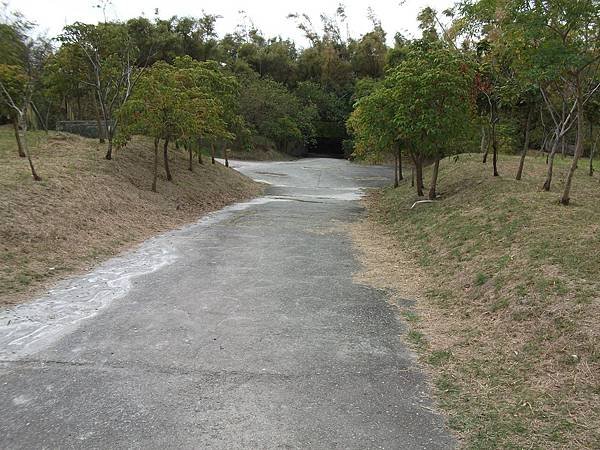 DSCF8939