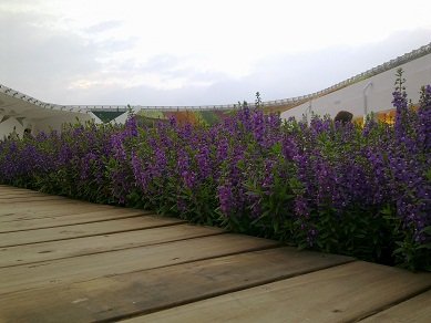 20101016105.jpg