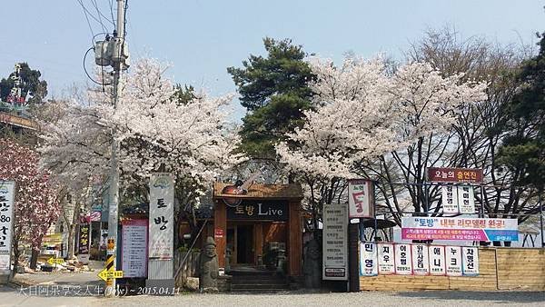 20150411_132858.jpg