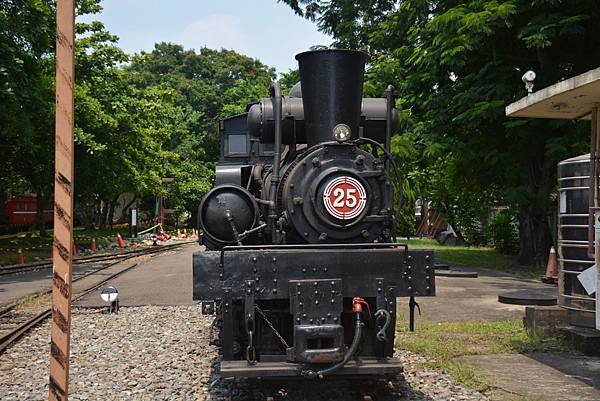 DSC_6374.JPG