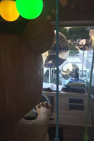 PhotoCap_016.jpg