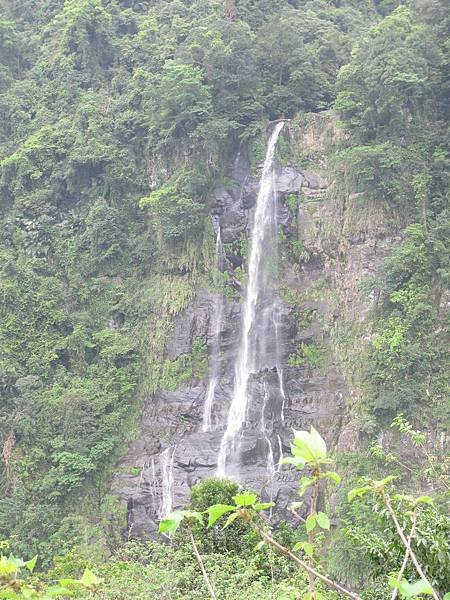 IMG_0001