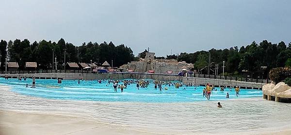 IMG_20140807_132935.jpg