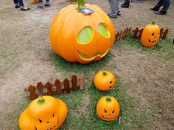 2014-10-04_13-49-06_483677_org