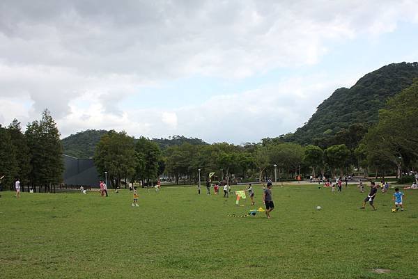 IMG_0952