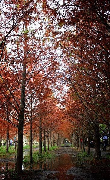 2014-12-11-18-23-15_deco.jpg