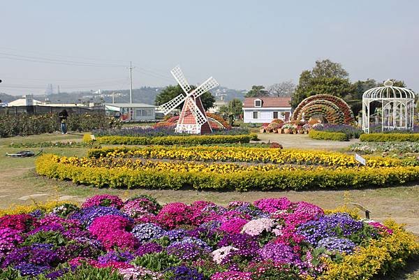 IMG_4684