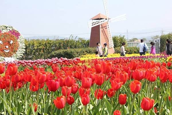 IMG_4717