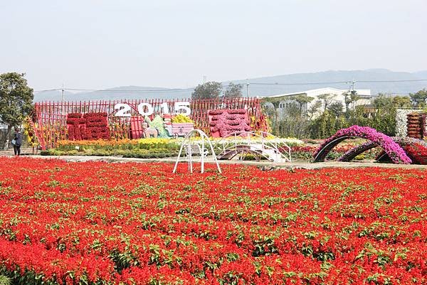 IMG_4759