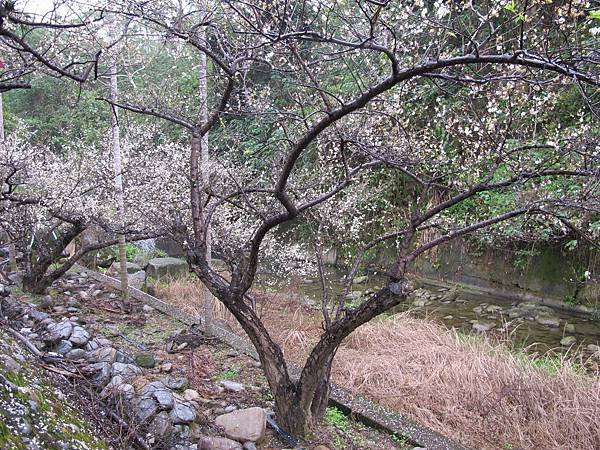 IMG_0021.JPG