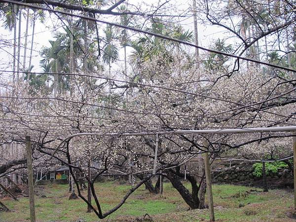 IMG_0074.JPG