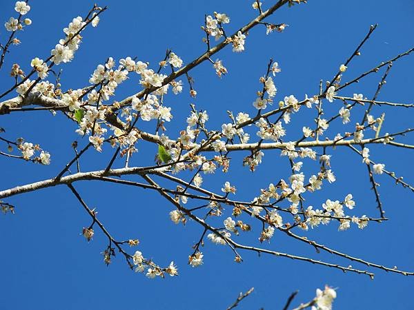 IMG_0120.JPG