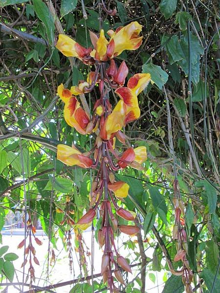 IMG_0186.JPG