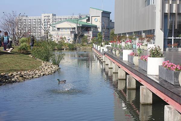 IMG_5435.JPG