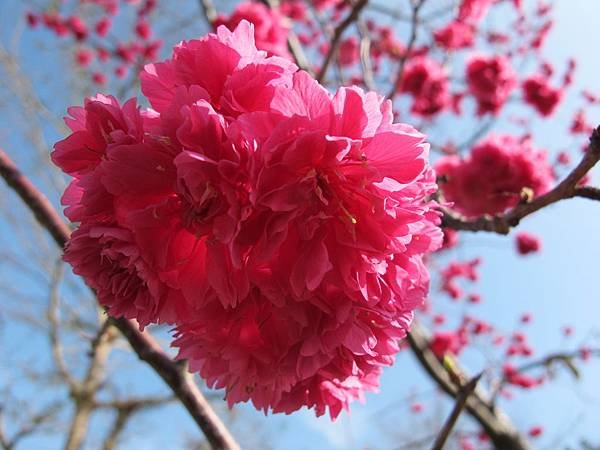 IMG_0037.JPG