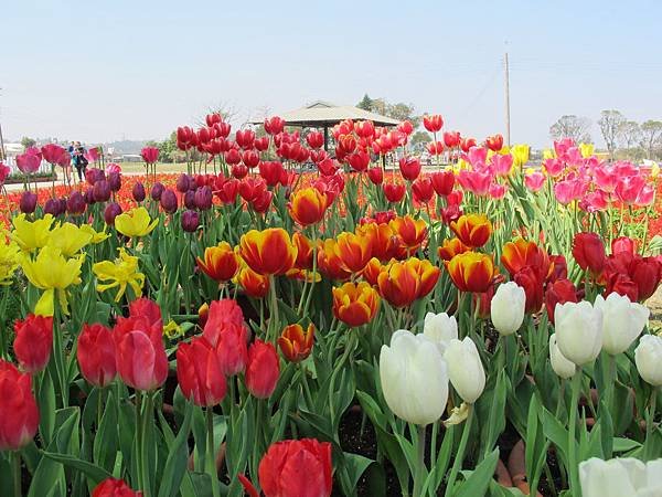 IMG_0141.JPG