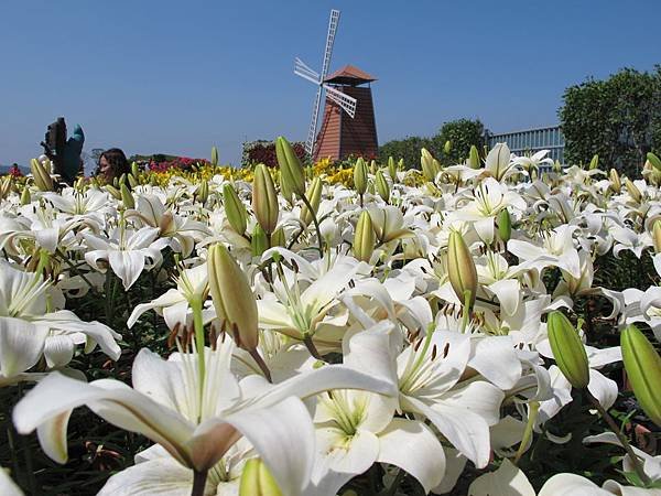 IMG_0181.JPG